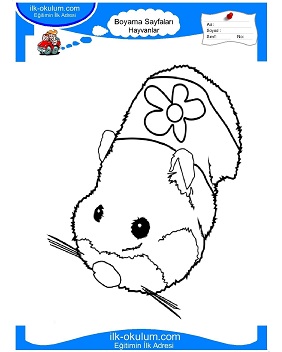 Çocuklar İçin Hamster Boyama Sayfaları 